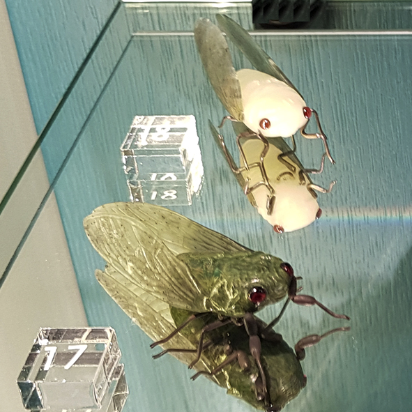 Vierailu Vapriikin kivimuseoon to 24.4.2025